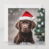 Chocolade Labrador Kerstmis (Voorkant)