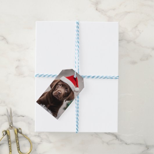 Chocolade Labrador Kerstmis Cadeaulabel (Met Touw)