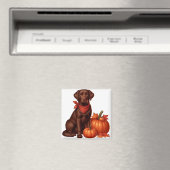 Chocolade labrador met rode bandana door pompoenen magneet (Insitu (Vaatwasser))