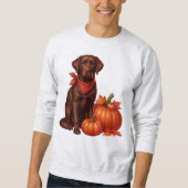 Chocolade labrador met rode bandana door pompoenen trui (Voorkant)