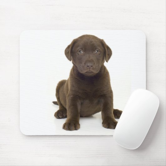 Chocolade Labrador Mousepad Muismat (Met muis)