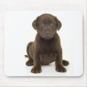 Chocolade Labrador Mousepad Muismat (Voorkant)