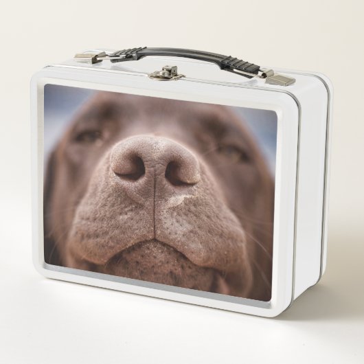 Chocolade Labrador Nose Closeup (Voorkant)