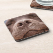 Chocolade Labrador Nose Closeup Bier Onderzetter (Linkerzijde)