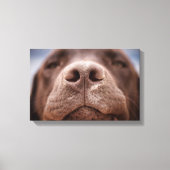Chocolade Labrador Nose Closeup Canvas Afdruk (Voorkant)