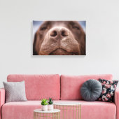 Chocolade Labrador Nose Closeup Canvas Afdruk (Insitu (Woonkamer))