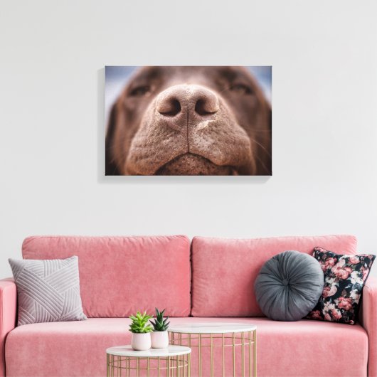 Chocolade Labrador Nose Closeup Canvas Afdruk (Insitu (Woonkamer))