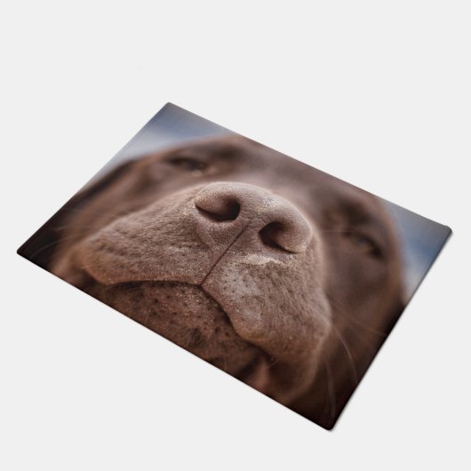 Chocolade Labrador Nose Closeup Deurmat (Schuin)