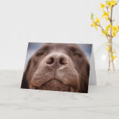 Chocolade Labrador Nose Closeup Kaart (Gele Bloem)