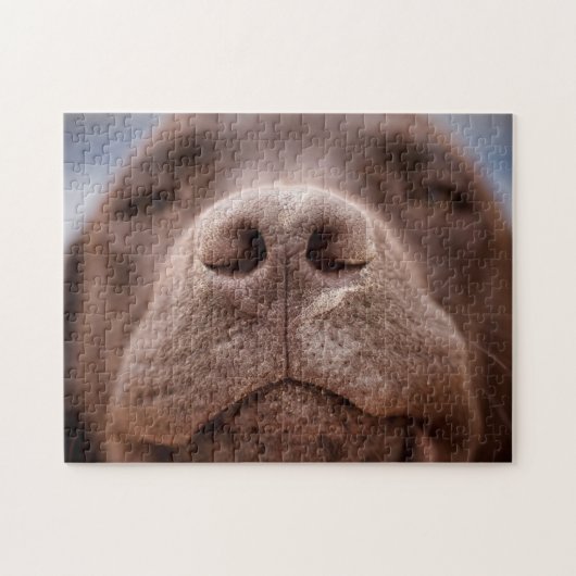 Chocolade Labrador Nose Closeup Legpuzzel (Horizontaal)