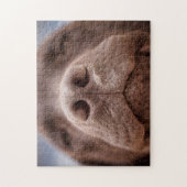 Chocolade Labrador Nose Closeup Legpuzzel (Verticaal)
