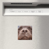 Chocolade Labrador Nose Closeup Magneet (Insitu (Vaatwasser))
