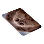 Chocolade Labrador Nose Closeup Magneet (Rechterzijde)