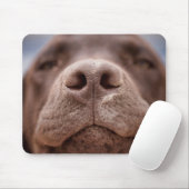 Chocolade Labrador Nose Closeup Muismat (Met muis)