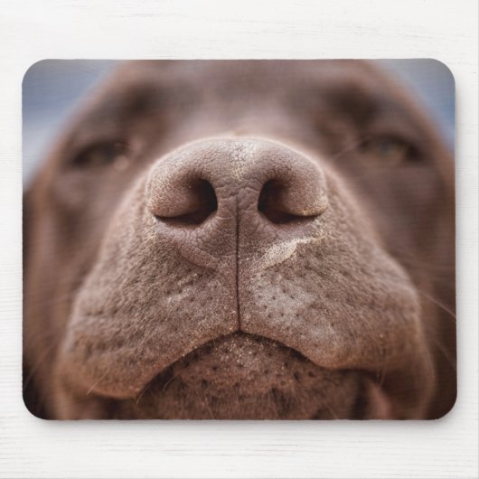 Chocolade Labrador Nose Closeup Muismat (Voorkant)