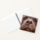 Chocolade Labrador Nose Closeup Notitieboek (Binnen)