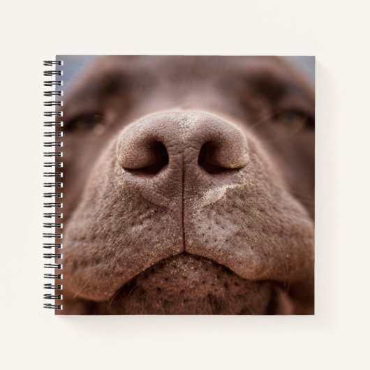 Chocolade Labrador Nose Closeup Notitieboek (Voorkant)