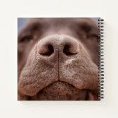 Chocolade Labrador Nose Closeup Notitieboek (Achterkant)