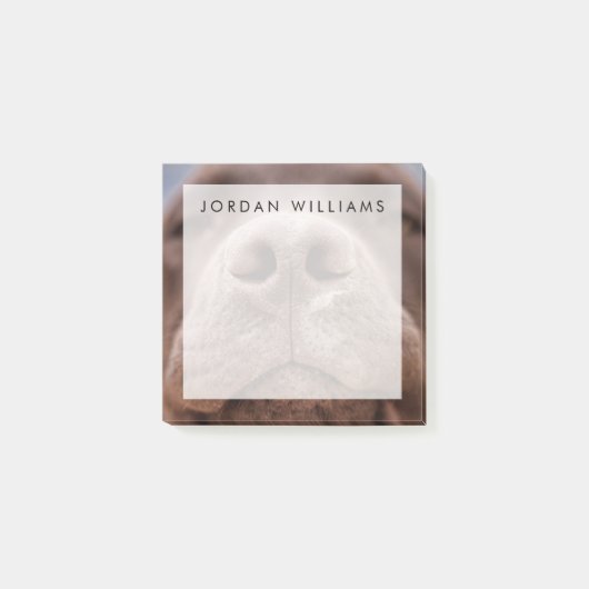 Chocolade Labrador Nose Closeup Post-it® Notes (Voorkant)