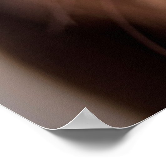 Chocolade Labrador Nose Closeup Poster (Hoek)