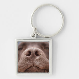 Chocolade Labrador Nose Closeup Sleutelhanger