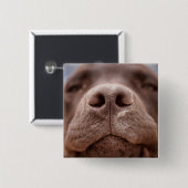 Chocolade Labrador Nose Closeup Vierkante Button 5,1 Cm (Voorkant /achterkant)