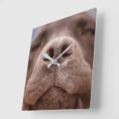 Chocolade Labrador Nose Closeup Vierkante Klok (Hoek)