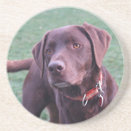 Chocolade Labrador onderzetter (Voorkant)