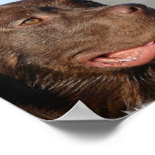 Chocolade Labrador Print (Hoek)