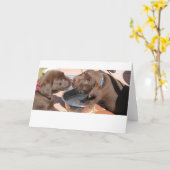 Chocolade Labrador-Puppies Kaart (Gele Bloem)