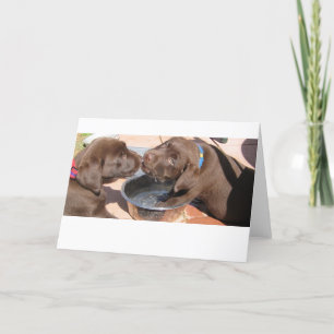 Chocolade Labrador-Puppies Kaart