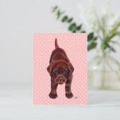 Chocolade Labrador Puppy Briefkaart (Staand voorkant)