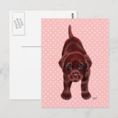 Chocolade Labrador Puppy Briefkaart (Voorkant / Achterkant)