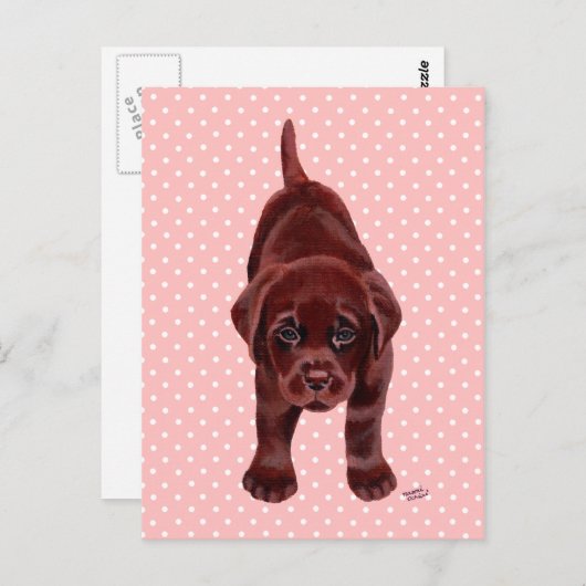 Chocolade Labrador Puppy Briefkaart (Voorkant / Achterkant)
