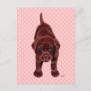 Chocolade Labrador Puppy Briefkaart