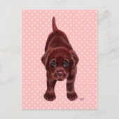 Chocolade Labrador Puppy Briefkaart (Voorkant)