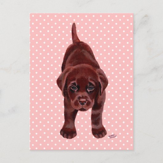 Chocolade Labrador Puppy Briefkaart (Voorkant)