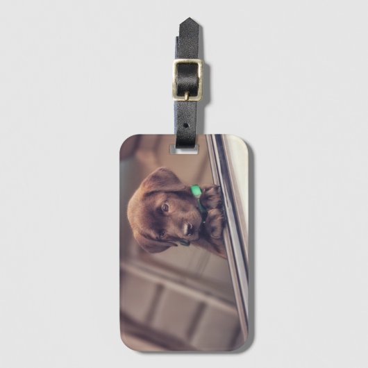 chocolade labrador puppy in auto bagagelabel (Voorkant (verticaal))