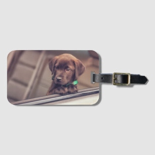 chocolade labrador puppy in auto bagagelabel