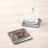 chocolade labrador puppy in auto bier onderzetter (Rechterzijde)