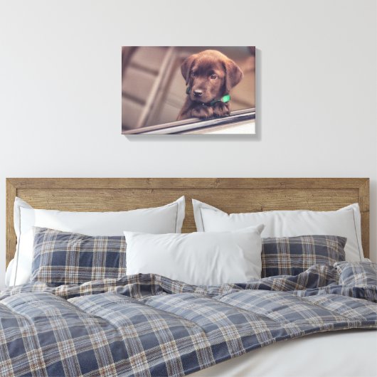 chocolade labrador puppy in auto canvas afdruk (Insitu (Slaapkamer))