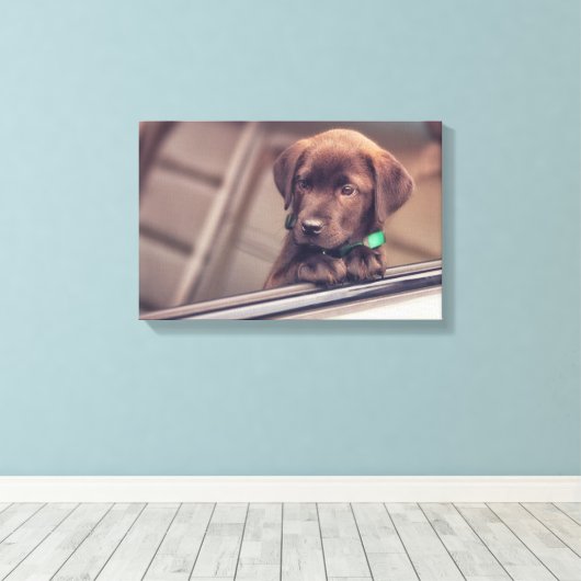 chocolade labrador puppy in auto canvas afdruk (Insitu (Houten vloer))