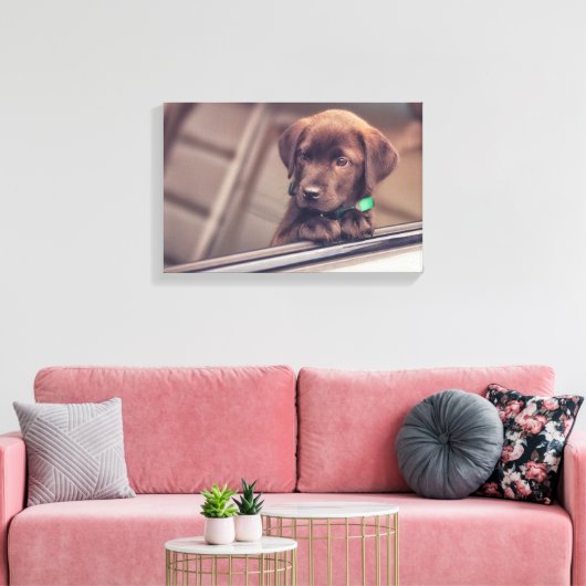 chocolade labrador puppy in auto canvas afdruk (Insitu (Woonkamer))