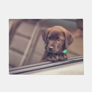 chocolade labrador puppy in auto deurmat