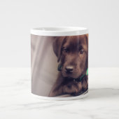 chocolade labrador puppy in auto grote koffiekop (Voorkant)