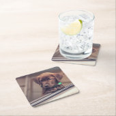 chocolade labrador puppy in auto kartonnen onderzetters (Insitu)