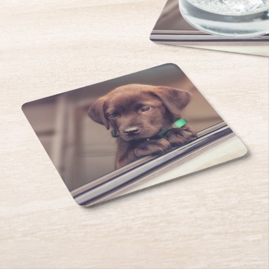 chocolade labrador puppy in auto kartonnen onderzetters (Schuin)