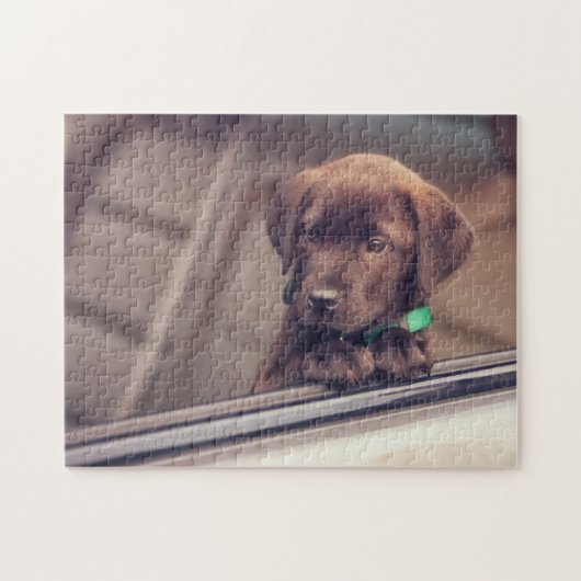 chocolade labrador puppy in auto legpuzzel (Horizontaal)