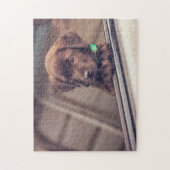 chocolade labrador puppy in auto legpuzzel (Verticaal)