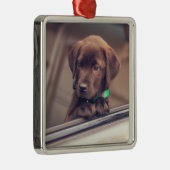 chocolade labrador puppy in auto metalen ornament (Rechts)